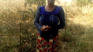 forest  in bush