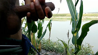 Big Cock Masturbation and Cumshot in Morning