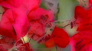 Geile Sommer Orgie with Hot Babes Sucking and Riding Cock