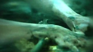 Jemeni loves it Anal Black and Ebony Bukkake Interracial POV