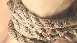 Hogtie, Impact & Oral Marking