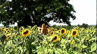 Hardcore double penetration in group sex outdoor