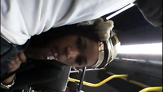 Brain's Blowjob on the Bus