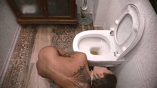 Convenient Toilet Cleaner