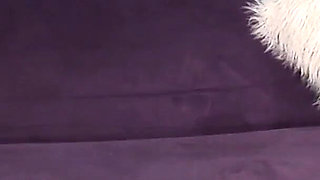 Thick BBW Babes Tease with Massive Tits and Curves