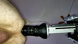 Mr. Hankey's Dragon Dildo Xl Full Insertion Doggy Anal Fucking Machine