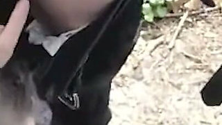 18yo College Student Public Park Bukkake Multiple Loads Dumped