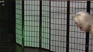 Under Mistress Ariel! Sneaker