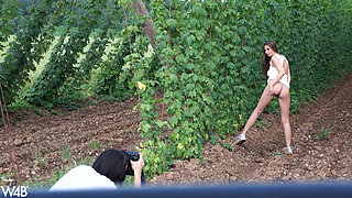 In Czech Agriculture