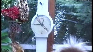 Anal Fucked German Babe Enjoys Pleasing Two Cocks at the Same Time