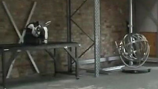 Humiliating dominating guillotine play