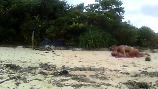 Beach Love Motion Outdoor Amateur Fun