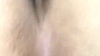 Sex Under the Sheet