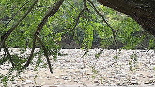 The Dwarf in the Tree Jerks off Like Crazy Until He Cums Watching the Sexy Couple Fuck on the Riverbank in the Open Air