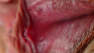 Anabelle Pync - Dance Party Iii