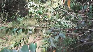 Half Stepbrother Screwed Me Hiking