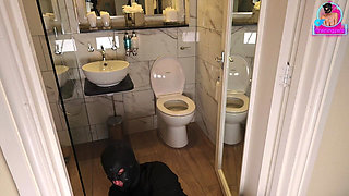 Life of a Femdom Toilet Slave