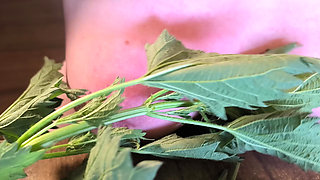 Naked tits in nettles - then hit hard