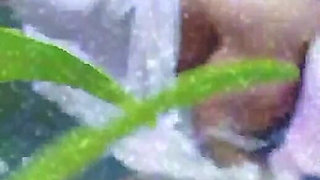 Hot Girl Bathing & Fucking