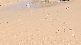 Femdom Day at the Beach