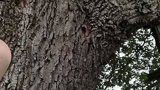 You Climb a Tree with a Wild Girl and She Give You Blowjob