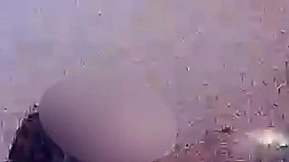 Sexy Huge Breasts Bhabhi in Saree Blouse Fucking Hard Doggystyle & Missionary Creampied