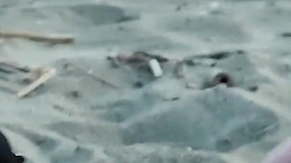 Slutty French Teacher Blowjob Amateur on Nude Beach to Stranger with Cumshot - Misscreamy