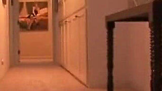 Suck My Big Black Dick Slutty Whore and Cum Vol 6