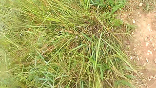 Nepali Open Outdoor Soltni Doggy Styal Sex Video