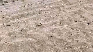 Glitteratiii Gives Suck To BBC On The Beach Onlyfans Video