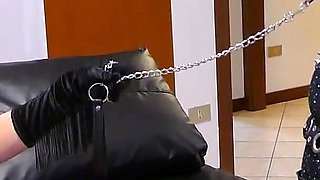 Behind the Scenes of "stella's Cat Training